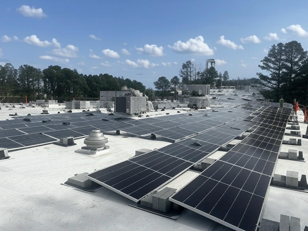 Commitment to Sustainability